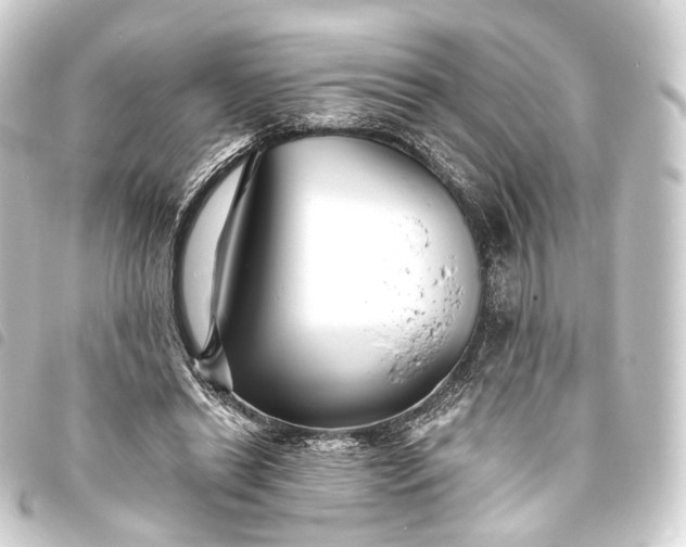 X0000093760446200710301148