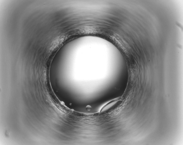 X0000093760447200710301148