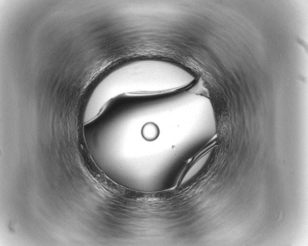 X0000093760448200710301148