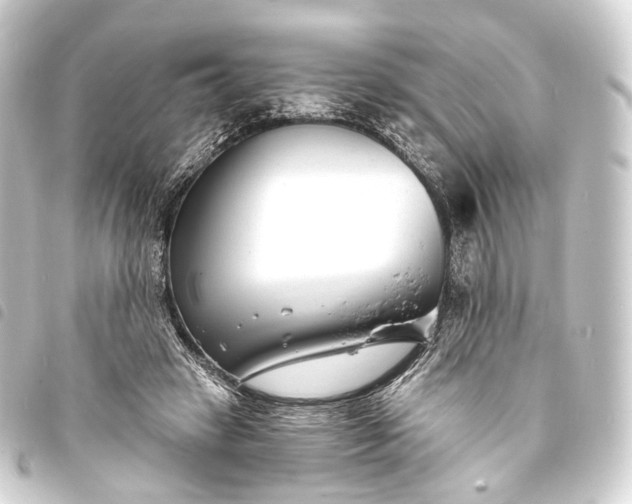 X0000093760449200710301148