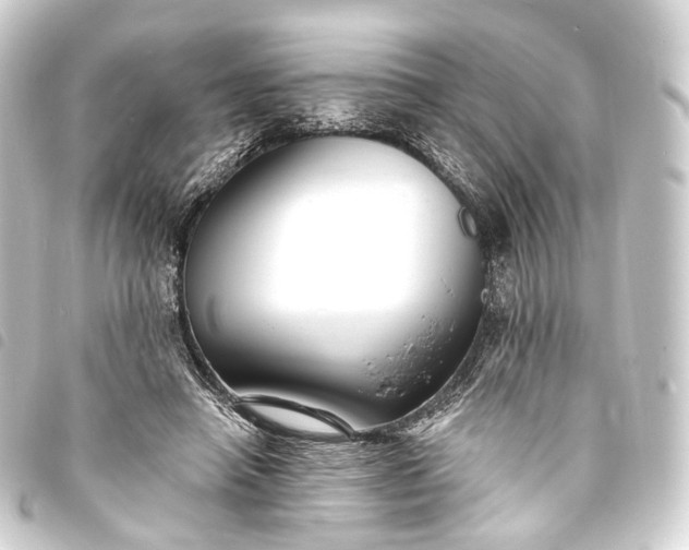 X0000093760450200710301148