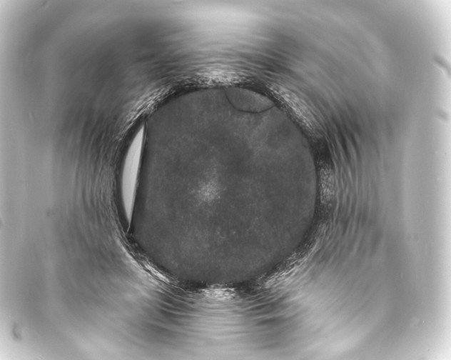 X0000093760451200710301148