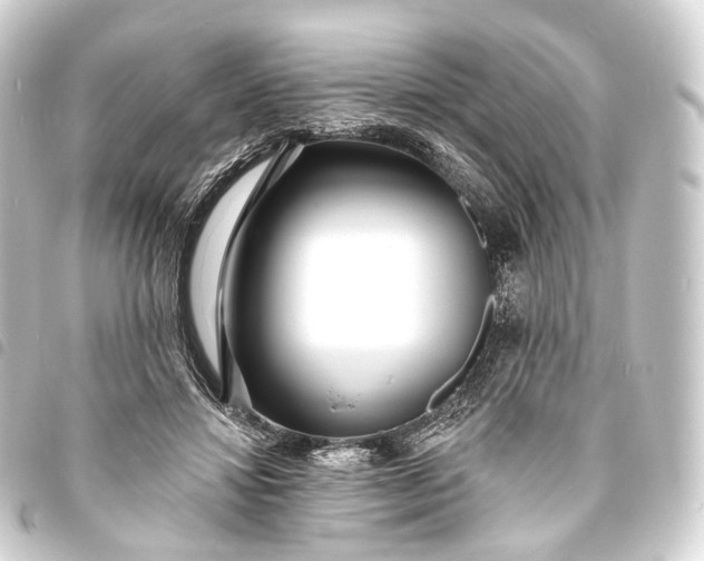 X0000093760452200710301148