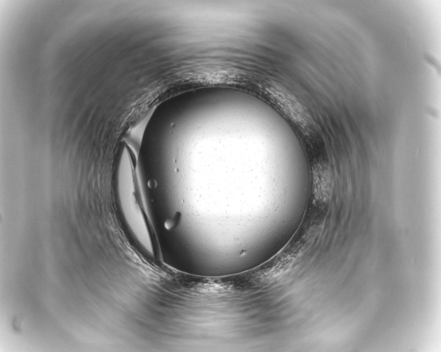 X0000093760453200710301148