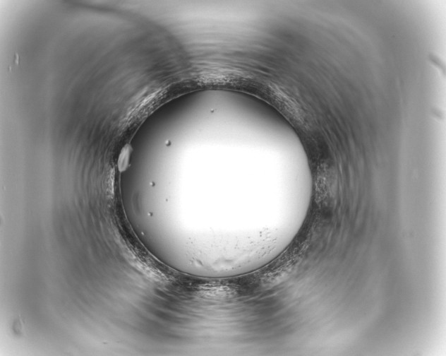 X0000093760454200710301148