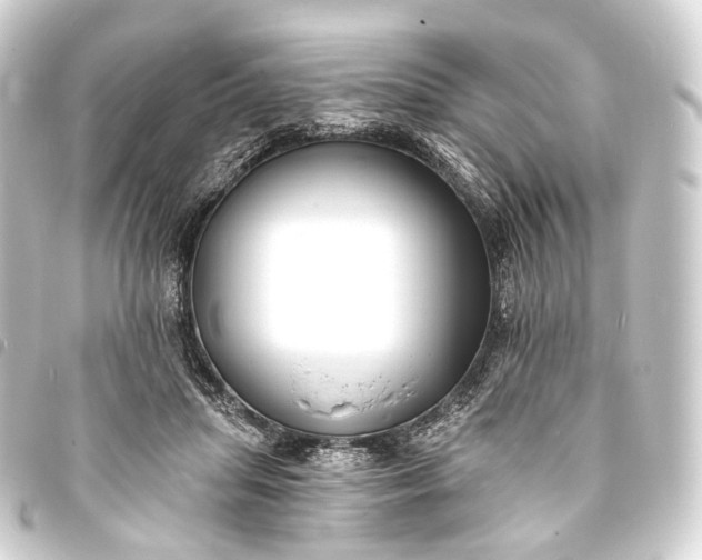 X0000093760455200710301148