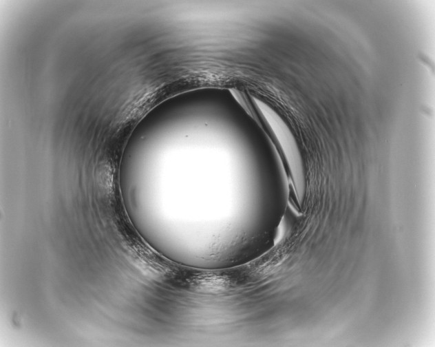 X0000093760456200710301148