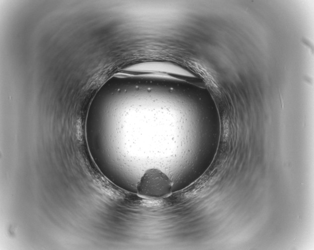 X0000093760457200710301148