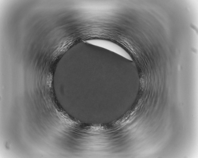 X0000093760458200710301148