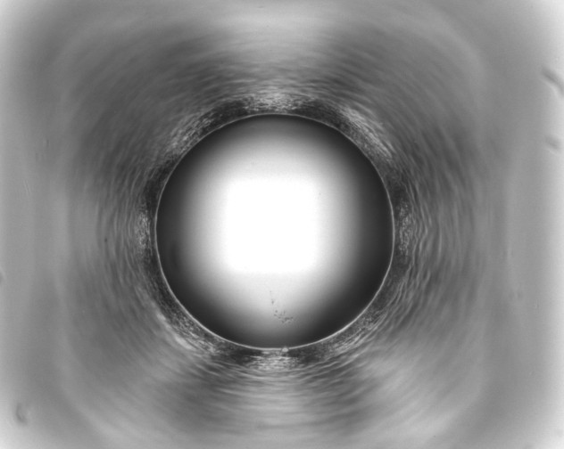 X0000093760459200710301148