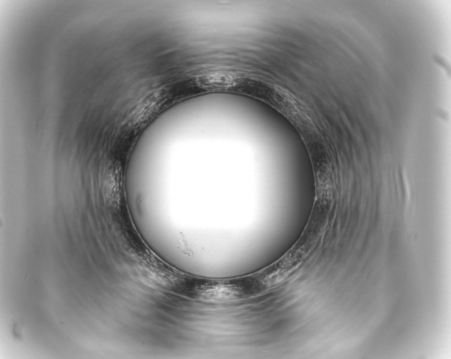 X0000093760460200710301148