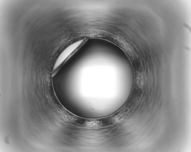 X0000093760461200710301148