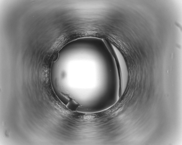 X0000093760462200710301148