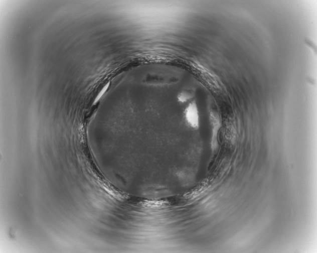 X0000093760465200710301148