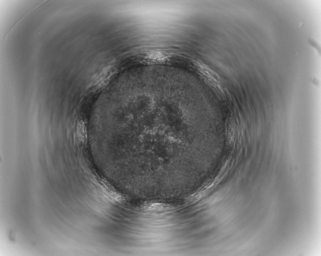 X0000093760467200710301148