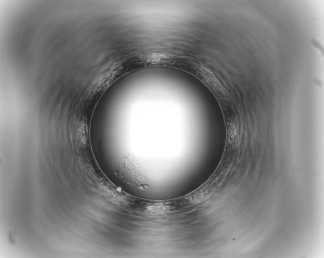 X0000093760470200710301148