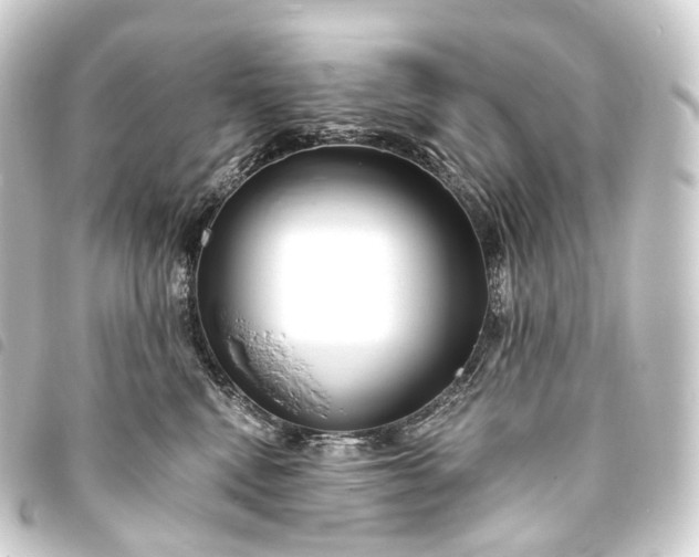 X0000093760472200710301148