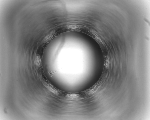 X0000093760476200710301148