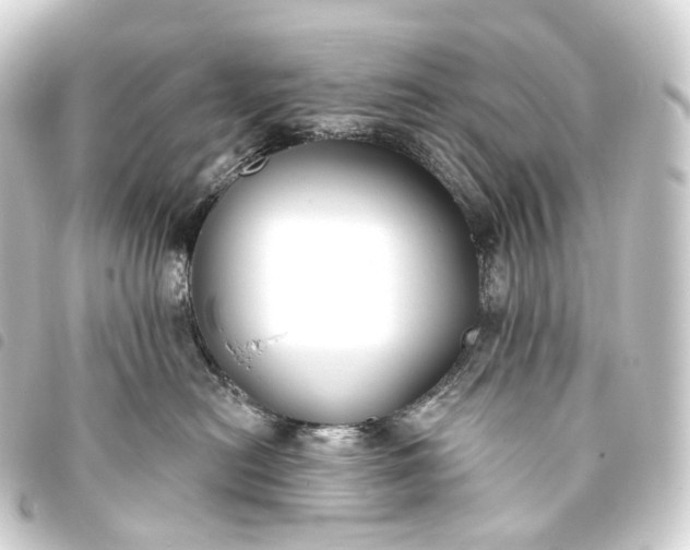 X0000093760478200710301148