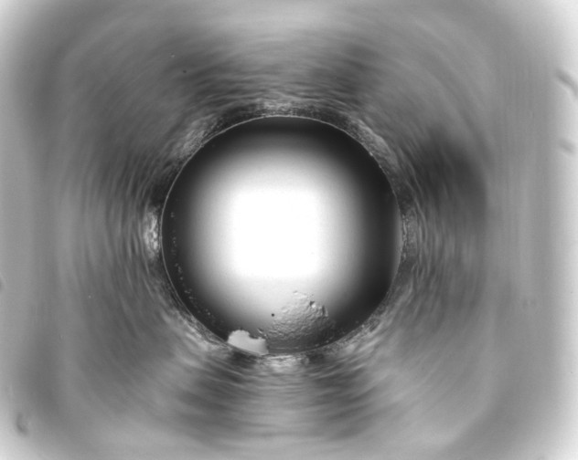 X0000093760479200710301148