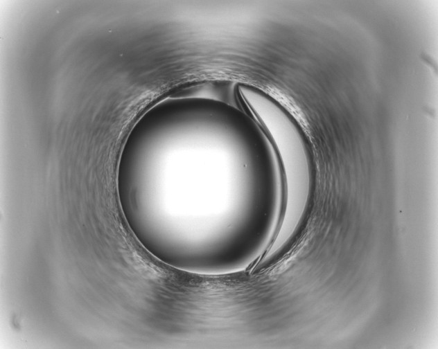 X0000093760481200710301148