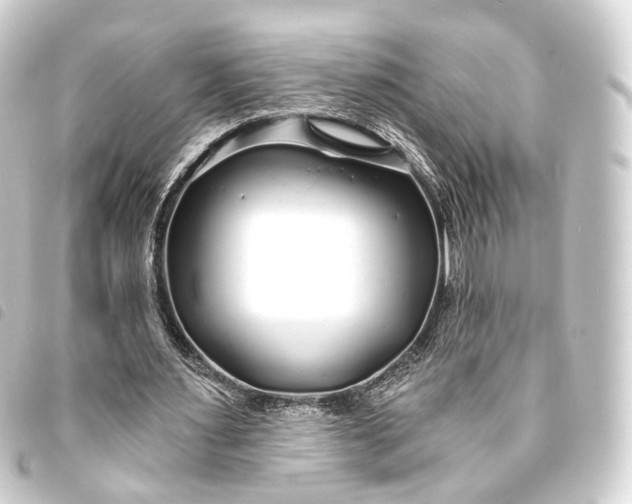 X0000093760483200710301148