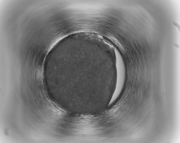 X0000093760484200710301148