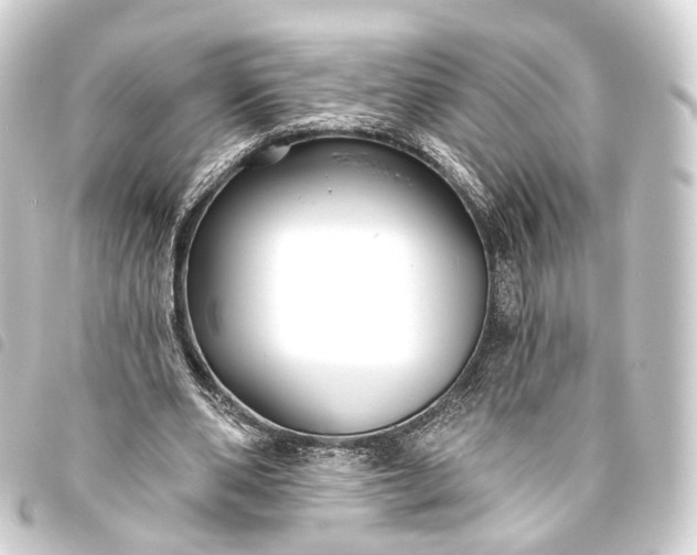 X0000093760486200710301147