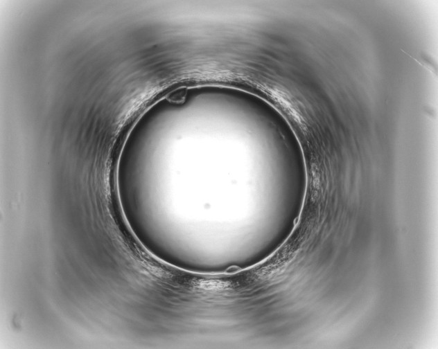 X0000093760487200710301147