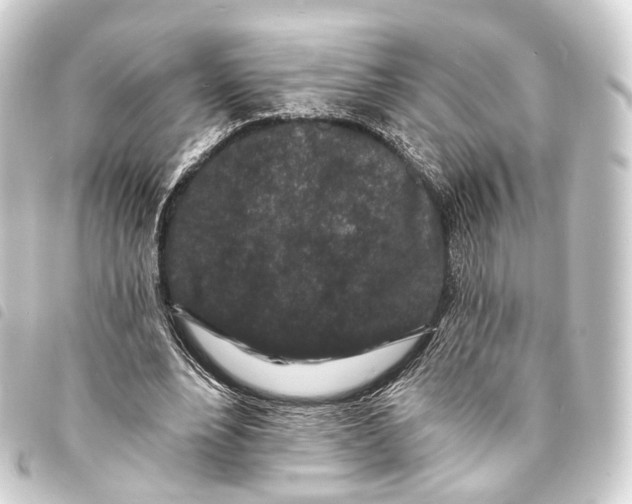 X0000093760488200710301147