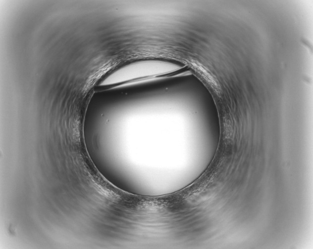 X0000093760489200710301147