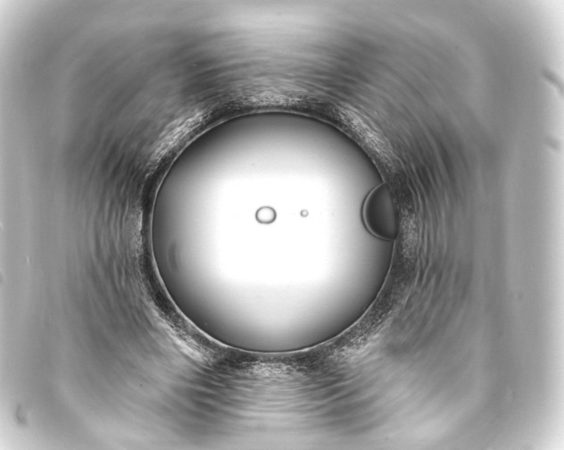 X0000093760490200710301147