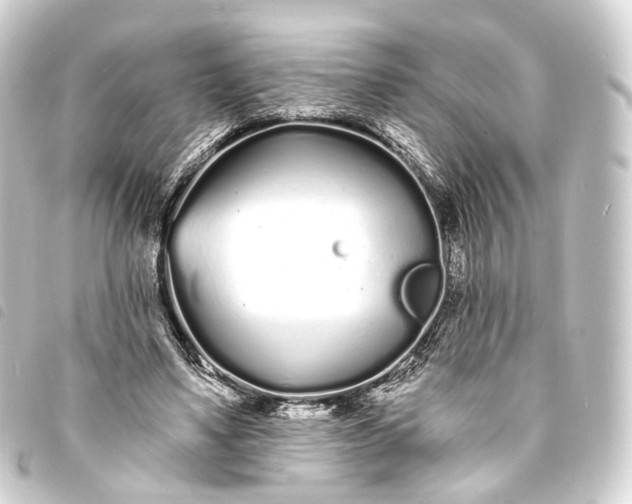 X0000093760491200710301147