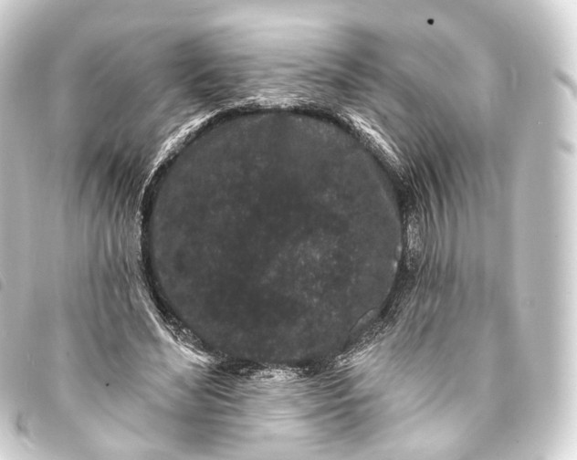 X0000093760492200710301147