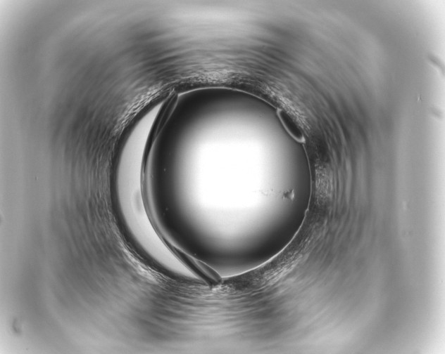 X0000093760493200710301147