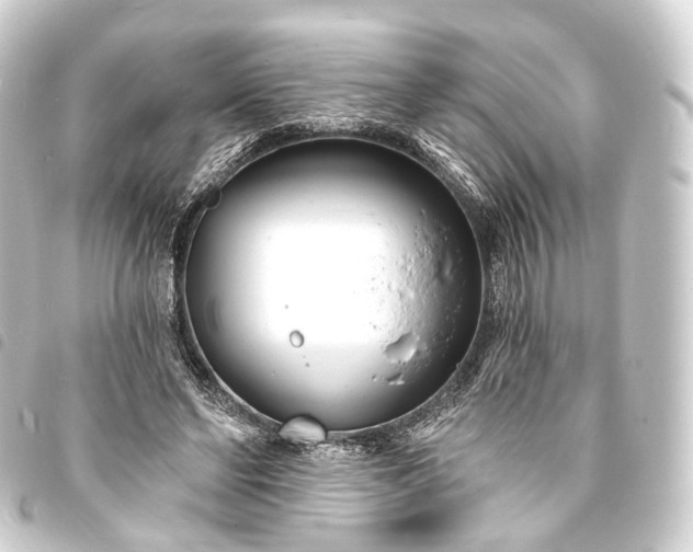 X0000093760494200710301147