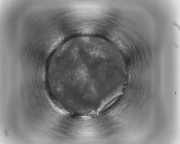 X0000093760496200710301147