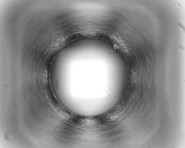 X0000093760498200710301147