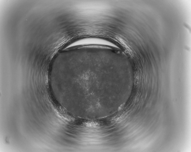 X0000093760500200710301147