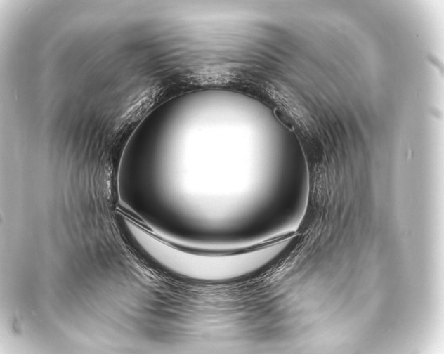 X0000093760501200710301147