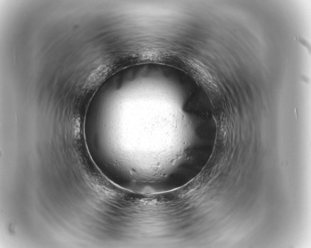 X0000093760502200710301147