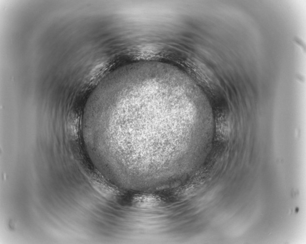 X0000093760503200710301147