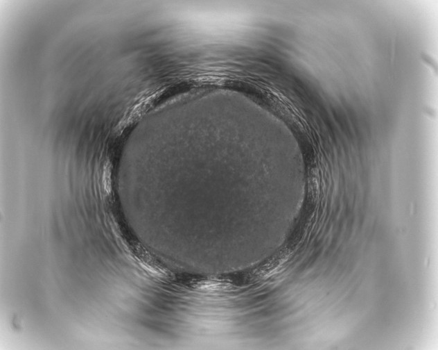 X0000093760504200710301147