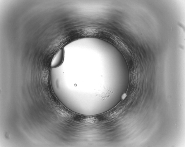 X0000093760505200710301147