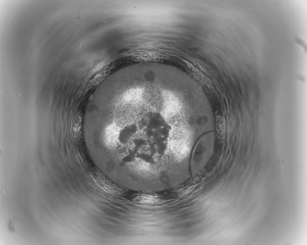 X0000093760507200710301147