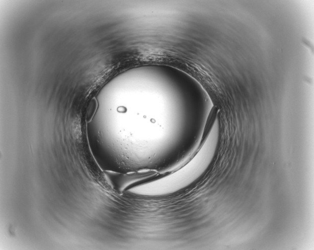 X0000093760508200710301147