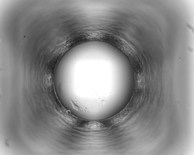 X0000093760514200710301147