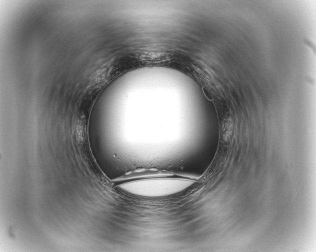 X0000093760515200710301147