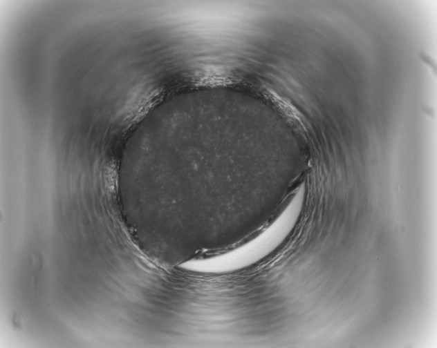 X0000093760517200710301147