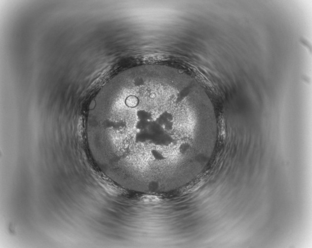 X0000093760519200710301147